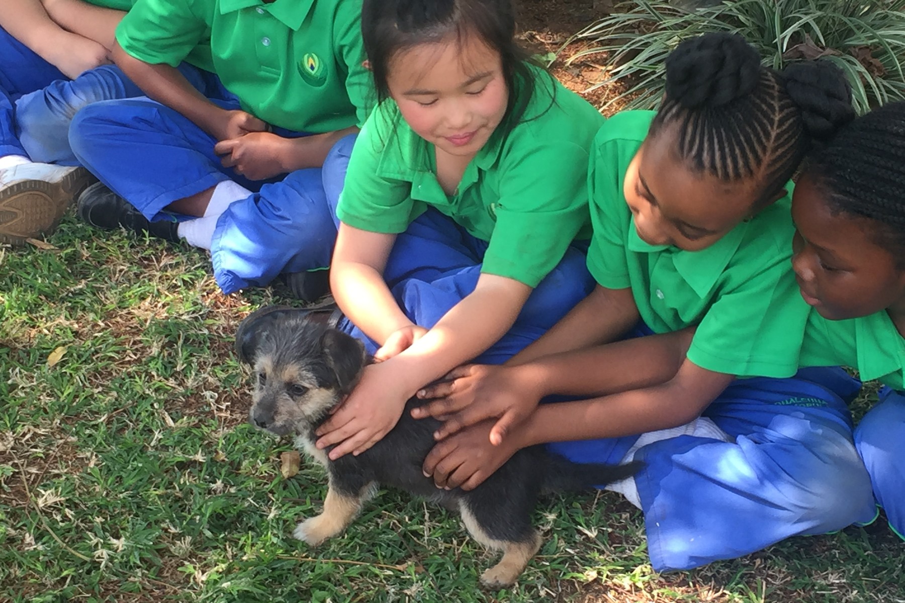 Spca 2