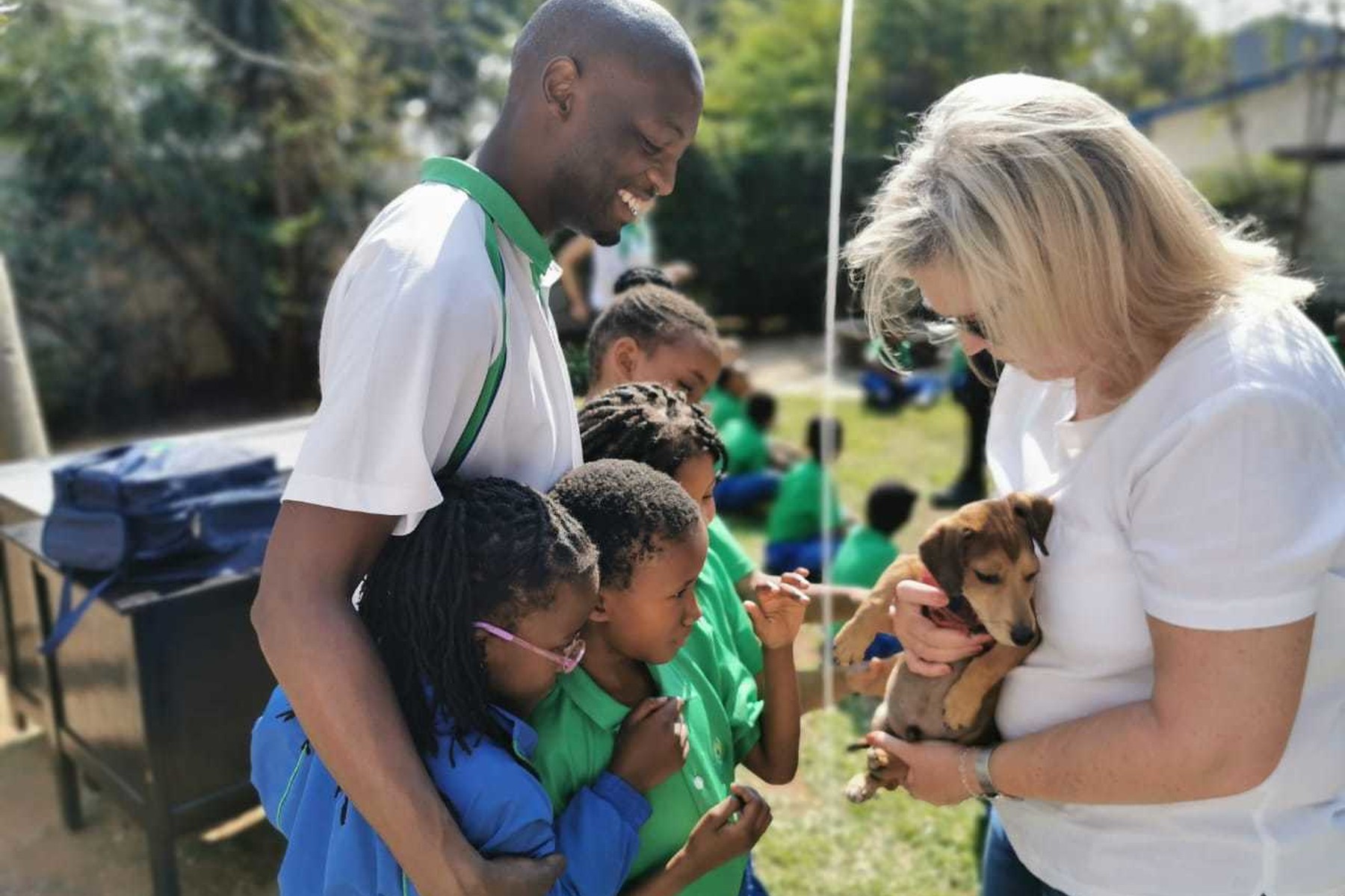 Spca 3